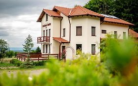 Pensiunea Rozelor Sâmbăta de Sus
